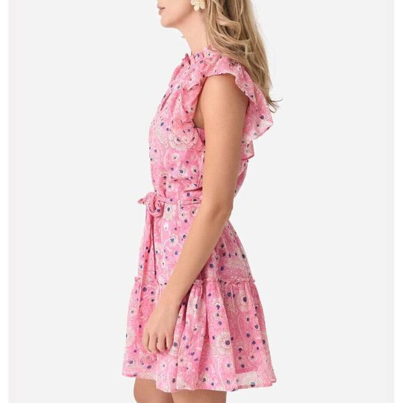 Oliphant Flirty Ruffle Hem Carolina Pink Cotton Block Print Dress Tuckernuck Med - Picture 6 of 16